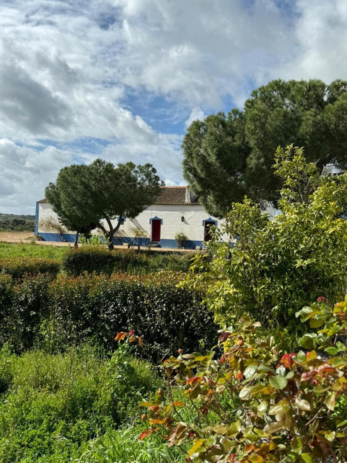 Herdade Das Pintas Monforte