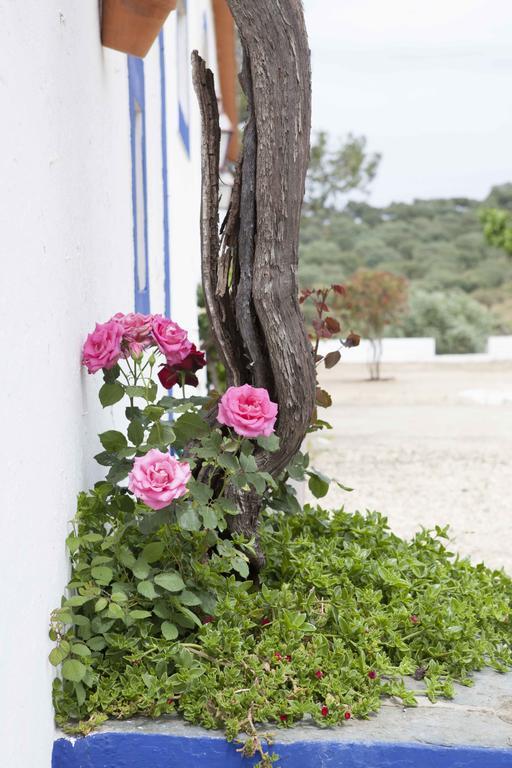 Holiday home Herdade Das Pintas Monforte
