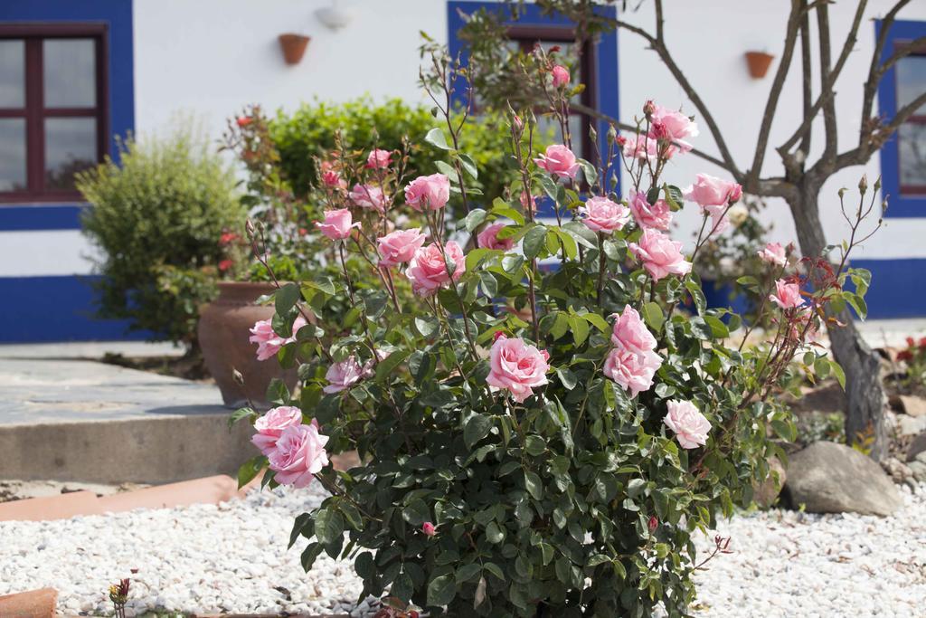 Herdade Das Pintas