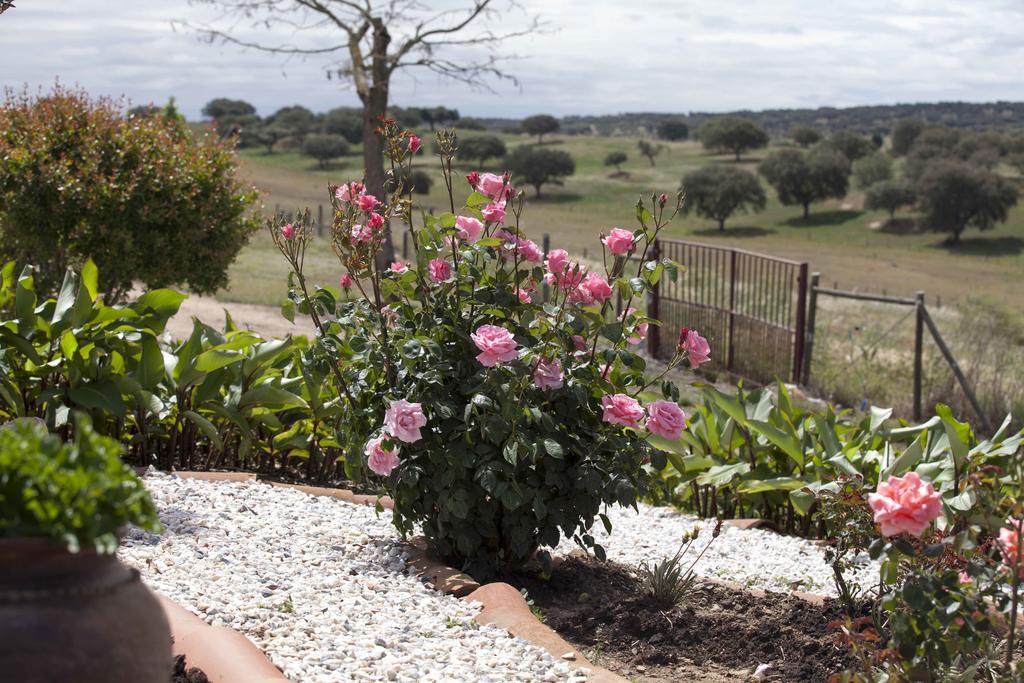 Herdade Das Pintas Holiday home