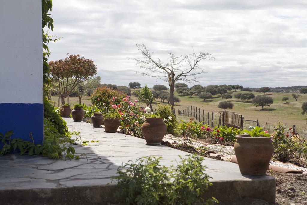 Herdade Das Pintas Holiday home *