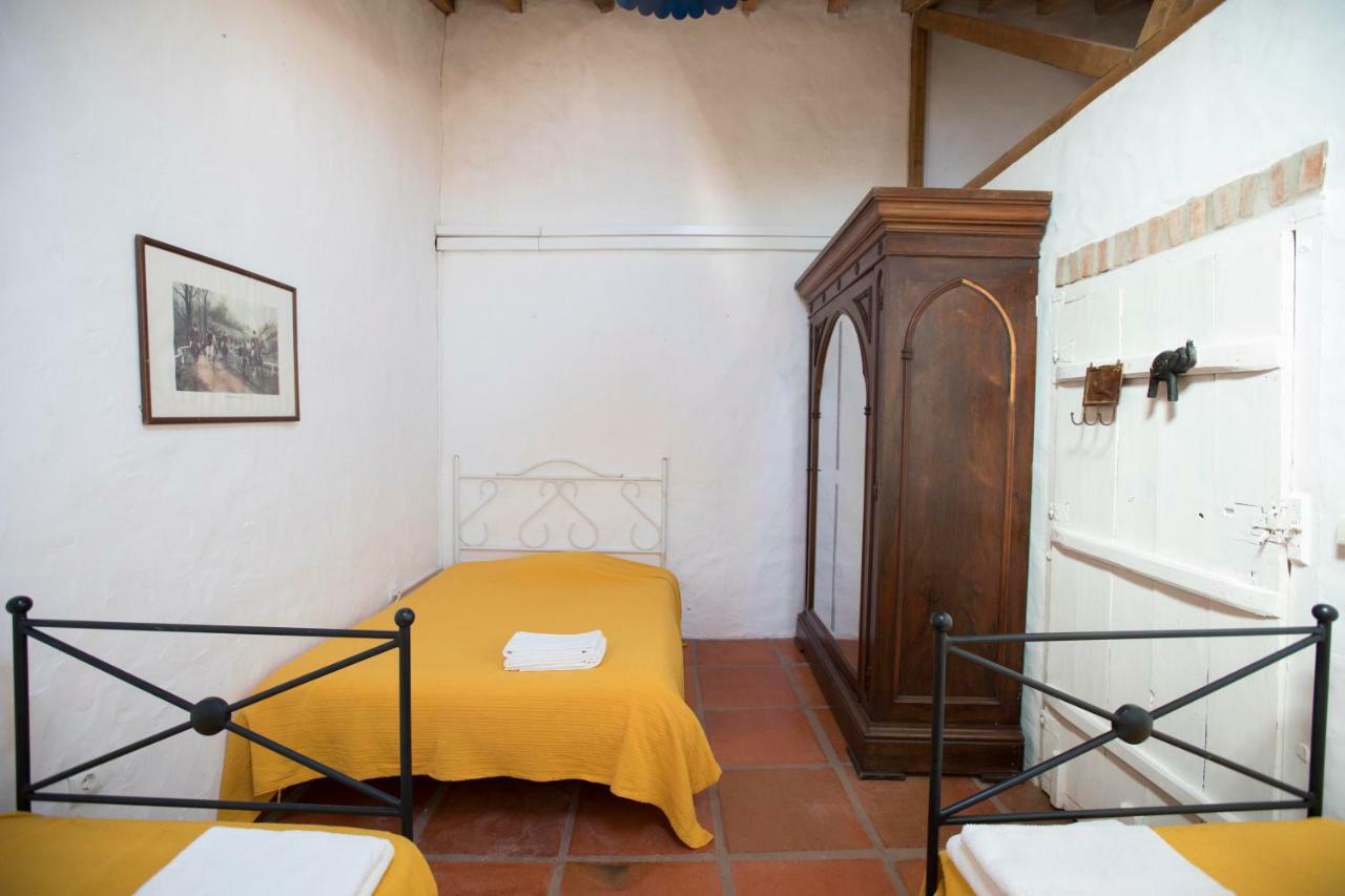Herdade Das Pintas Holiday home